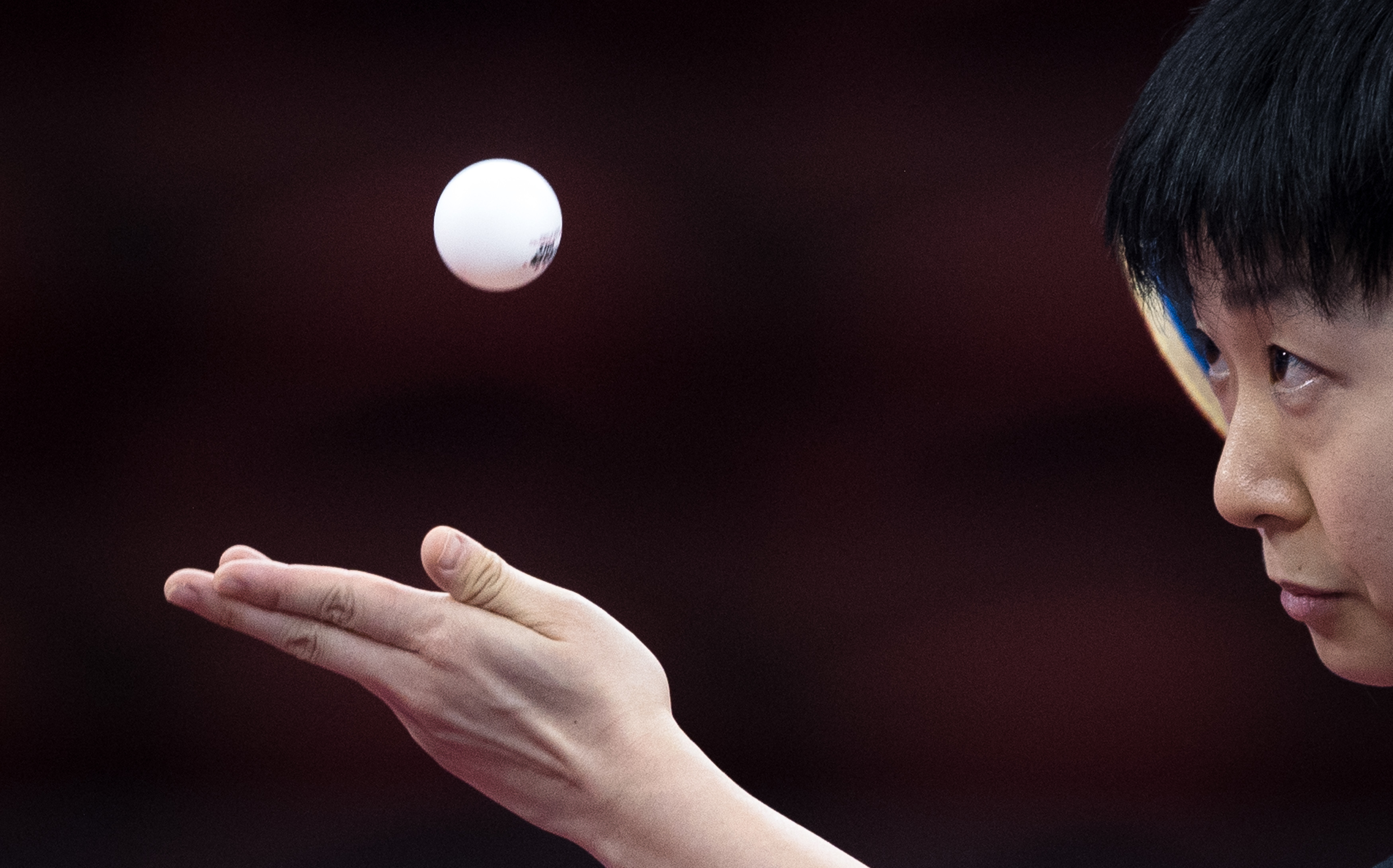 乒乓球——女子单打:中国选手木子夺冠