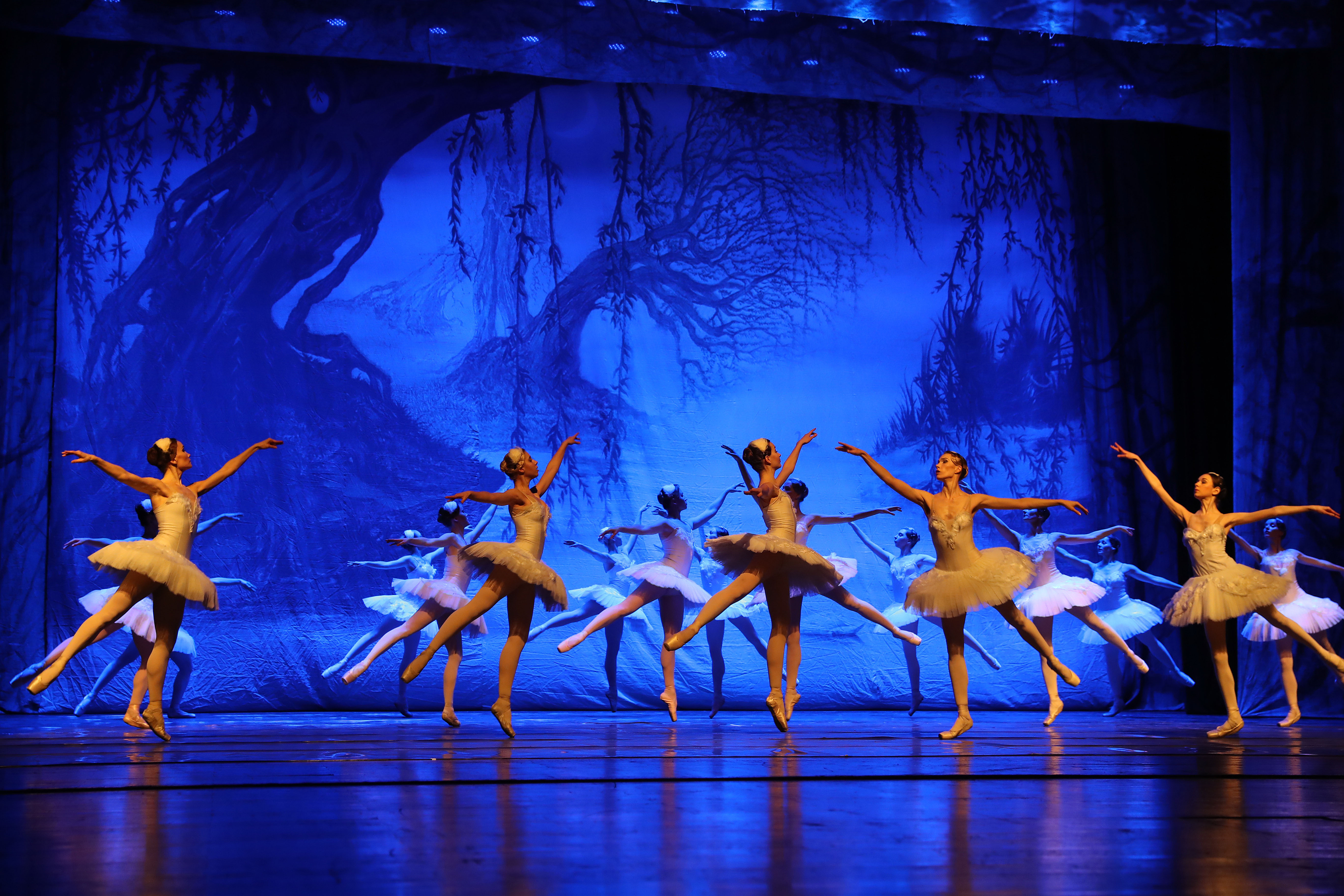 俄罗斯《天鹅湖》武汉起舞