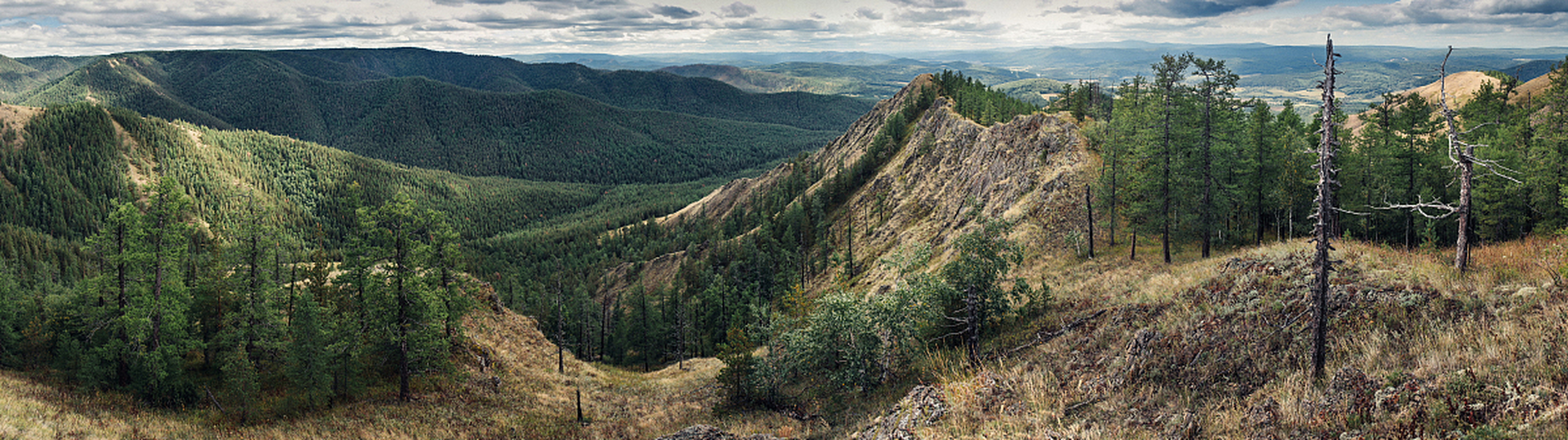从战略上来讲,如果乌拉尔山脉以东,不能为我所控,无论怎样,皆不利于我