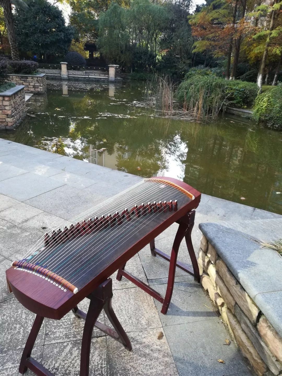 成人古筝冬日阳光和小筝的约会,在大自然中感受音乐!