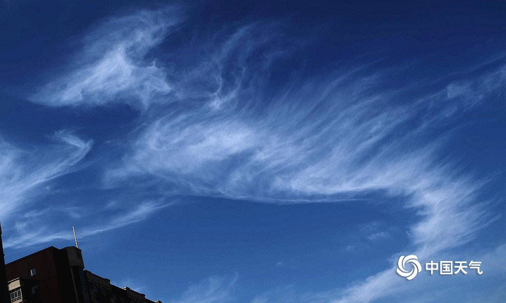 哈尔滨主城区上空惊现"龙形"吉祥云彩