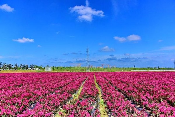 大美颍上欢迎您来做客