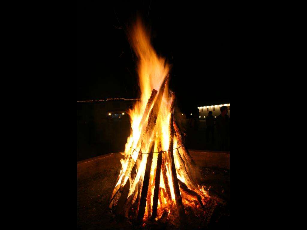 不寻常的篝火或许会招来好奇的野兽在附近逡巡,但很少敢于将自身暴露