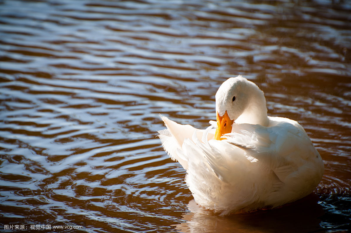 养殖户看过来!保你会收藏!