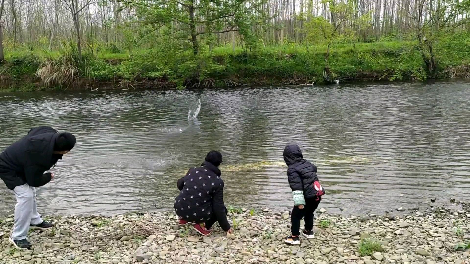 带孩子去河边看鸭子,打水漂,无意发现水底有一些金黄色的东西