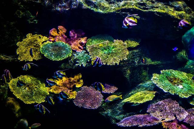 三亚小东海鹿回头湾,半山半岛旅游攻略「概况篇」