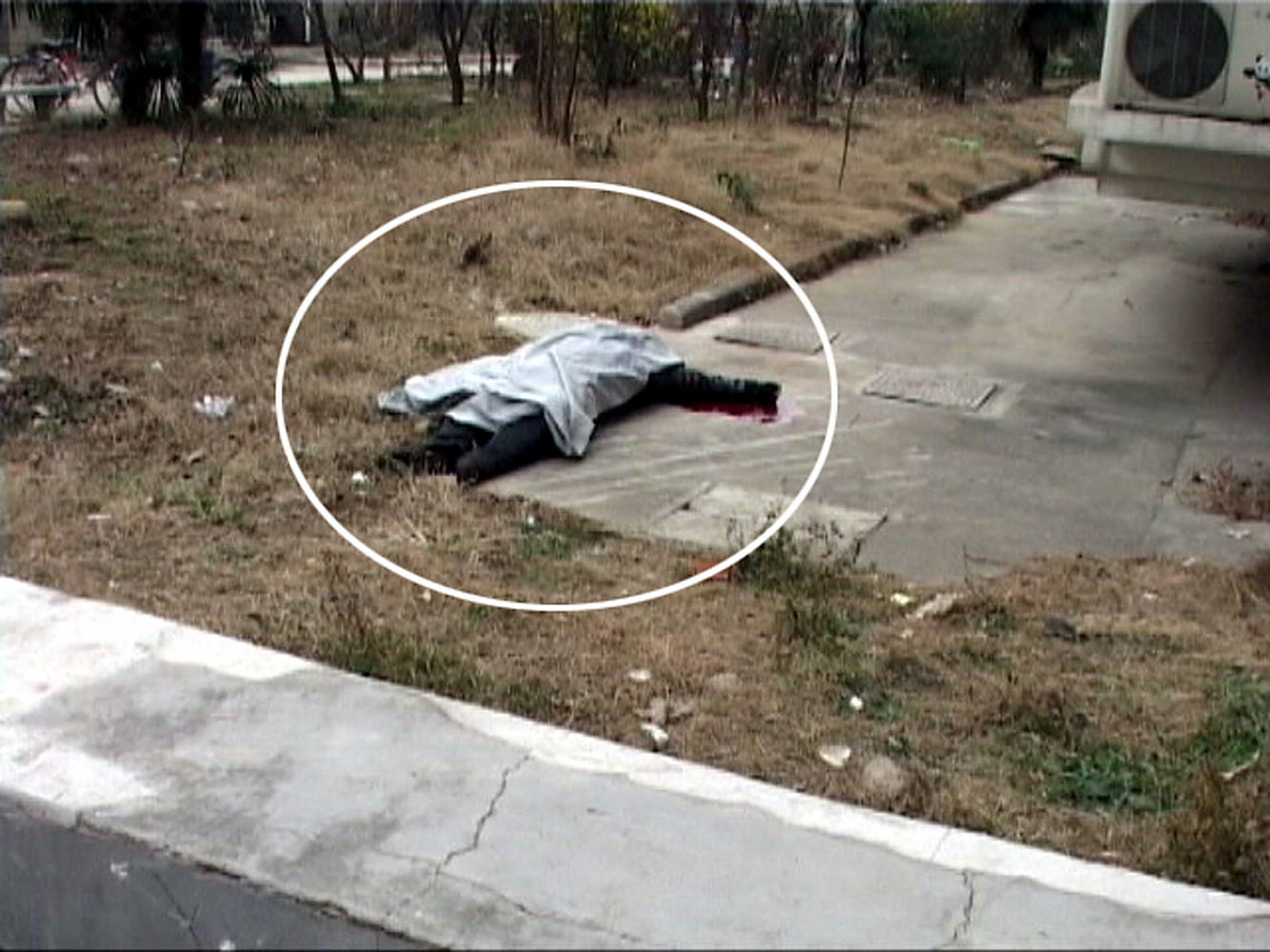 女子被一个不明飞行物砸中,仔细一看,肇事者竟然是一只鸟!