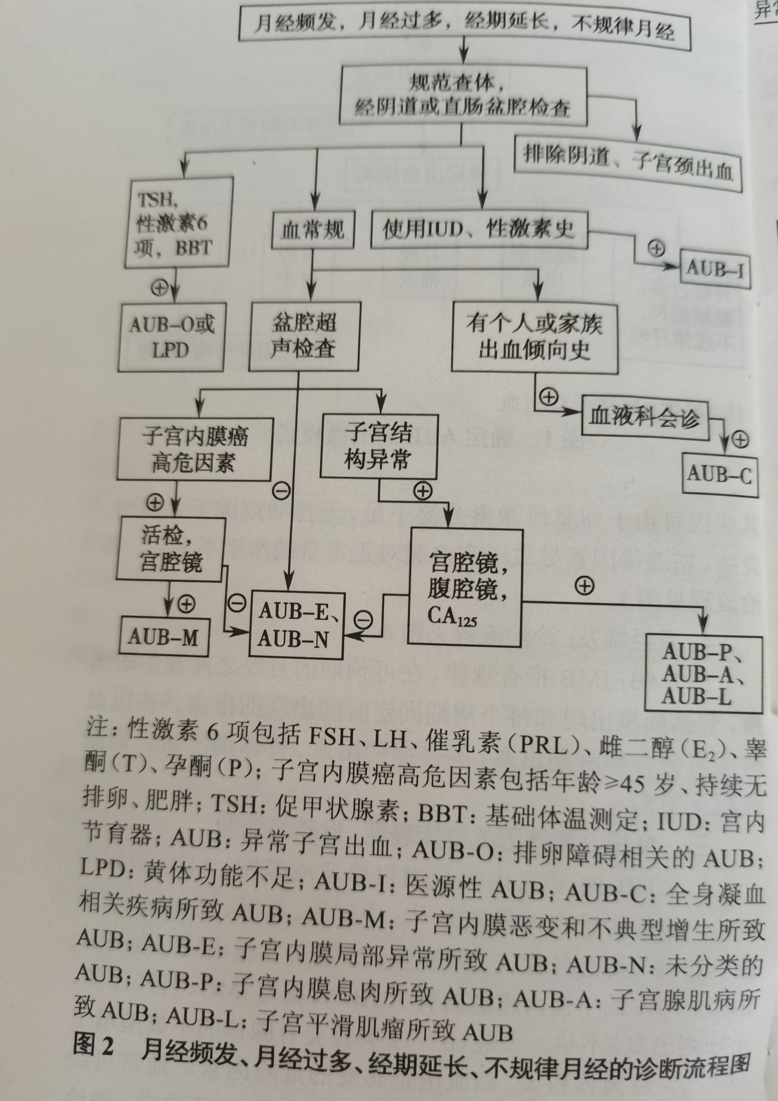 月经频发图片