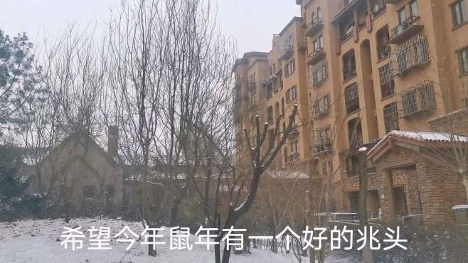 [图]大年正月十三，北京普降大雪，看鼠年有啥好预兆？