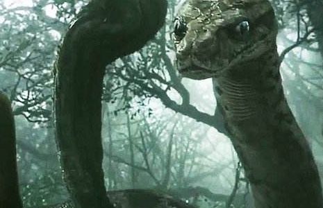 恐怖故事:坟地里的大蛇