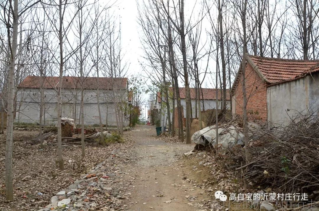潮沟河畔永成村—沂南县辛集镇荣成村行走纪实