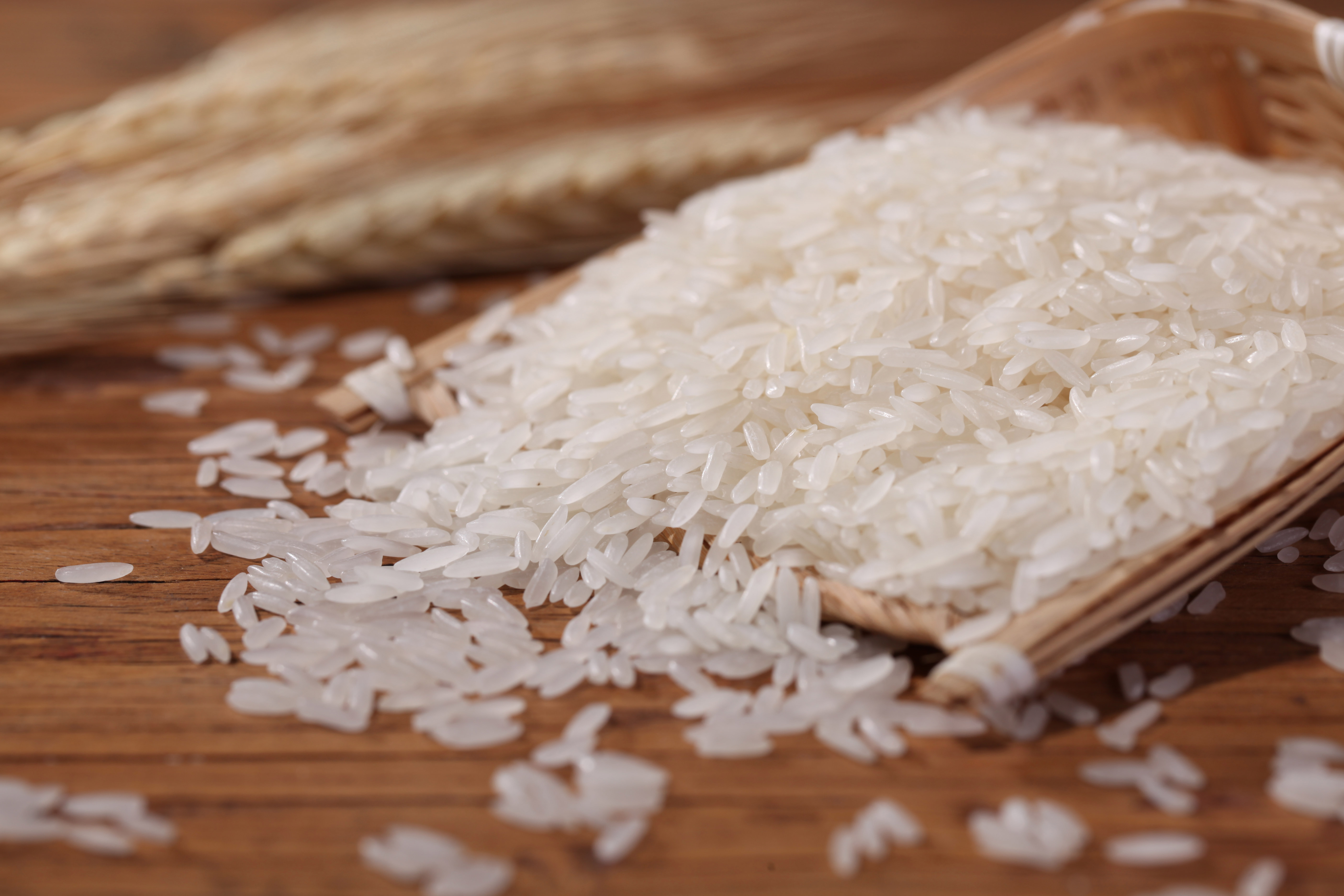 江西长粒籼型大米高清细节分享