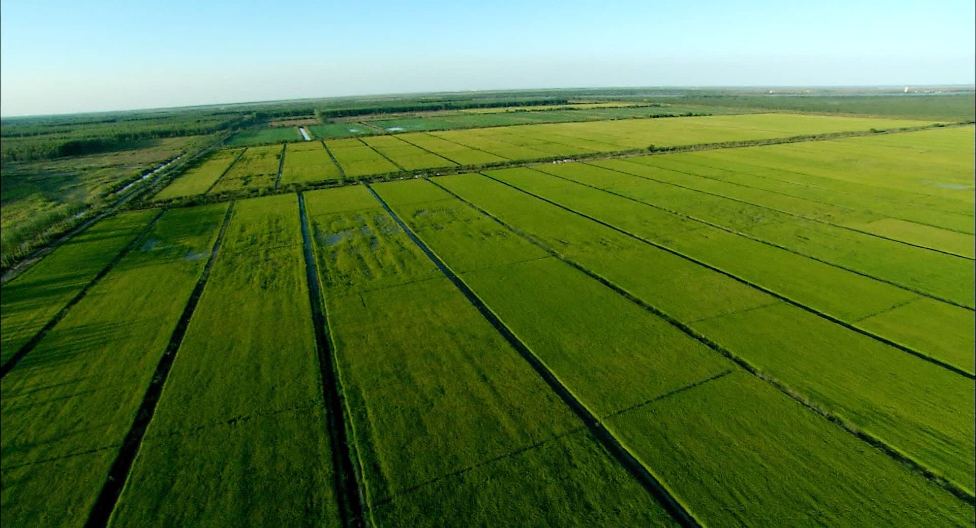 投入了40万做农业,规模化种植能挣钱吗?听听专家是怎么分析的!