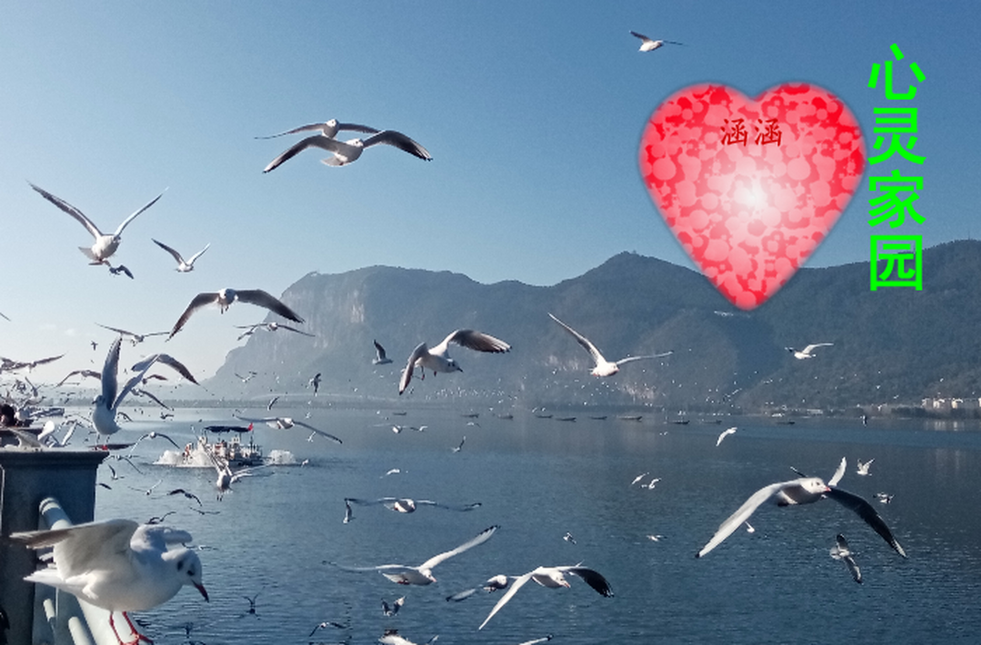 家,是温暖;家是有爱,有阳光的地方;家是安心,家是避风的港湾.