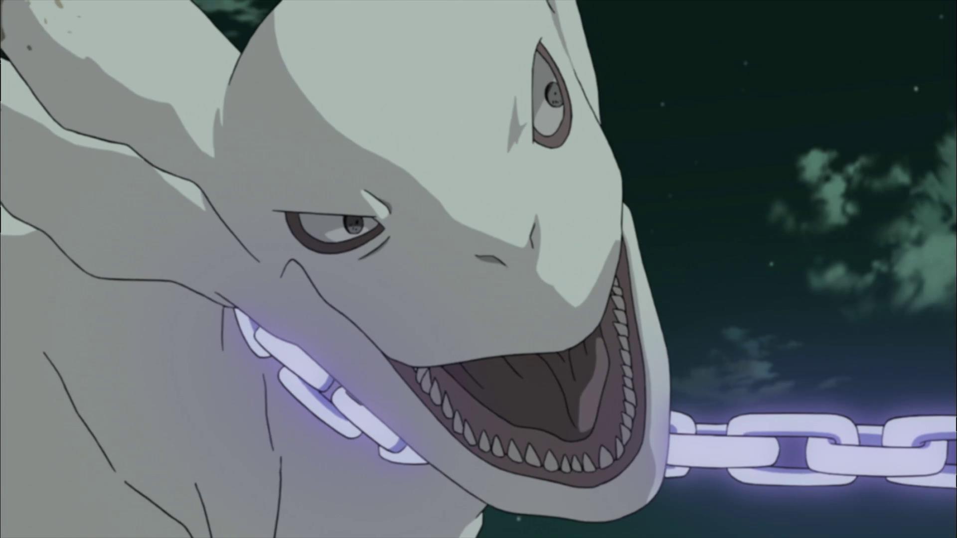 火影忍者:尾兽的实力如何划分,尾巴的数量又到底有何意义?