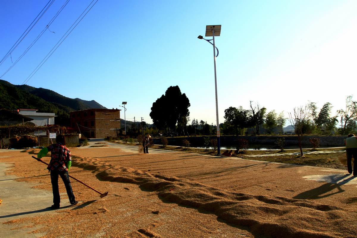 钢筋混凝土坏 - 2020年最新商品信息聚合专区 - 百度爱晒