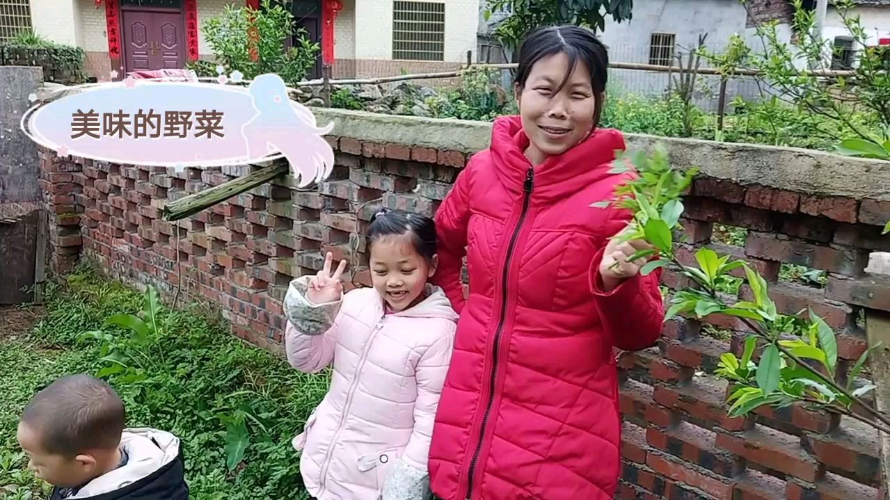 春天到了,吃野菜的季节,美味可口的野菜