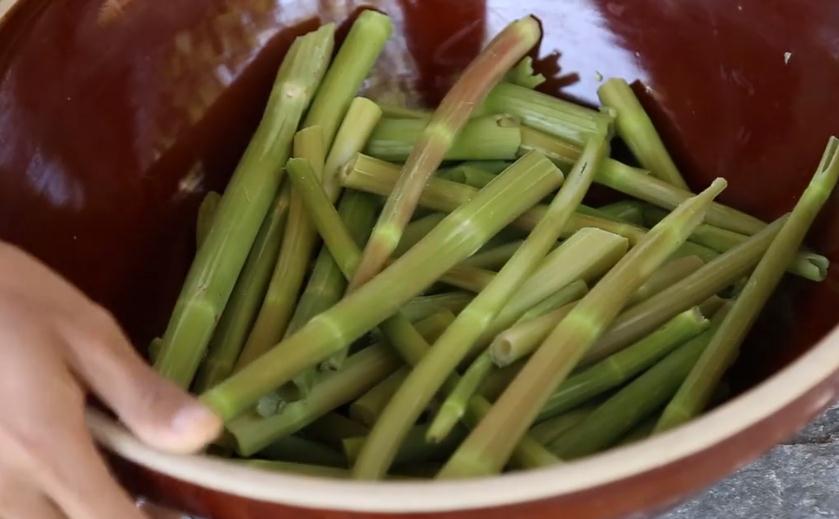 这杆"满身红点",不加一滴醋也酸掉牙,老人常说"一根一把药"