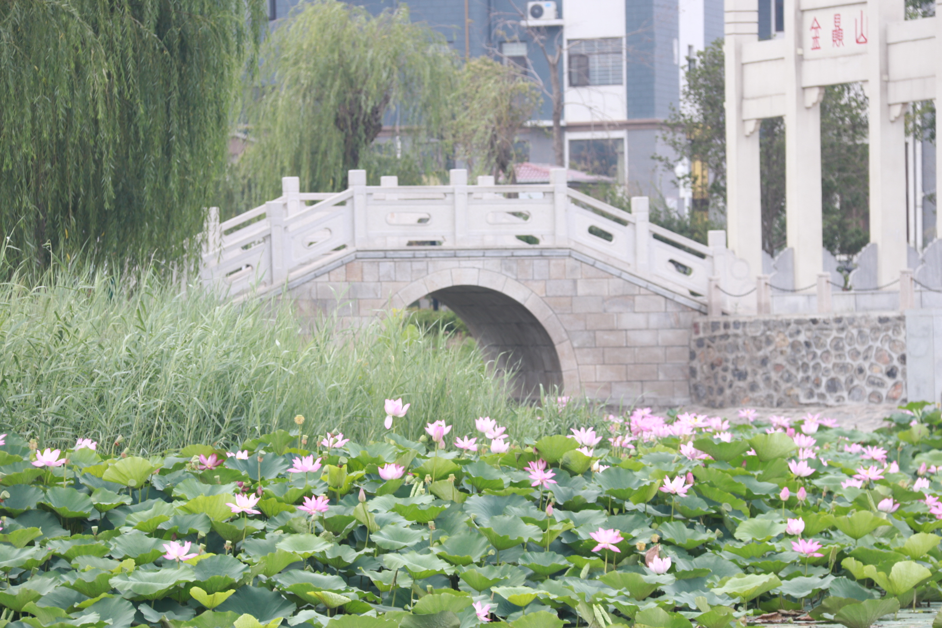 长垣市风景介绍图片