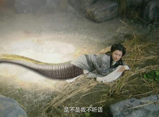 当不同的蛇妖露出五颜六色的蛇尾巴,赵灵儿褐色,她竟是紫色?
