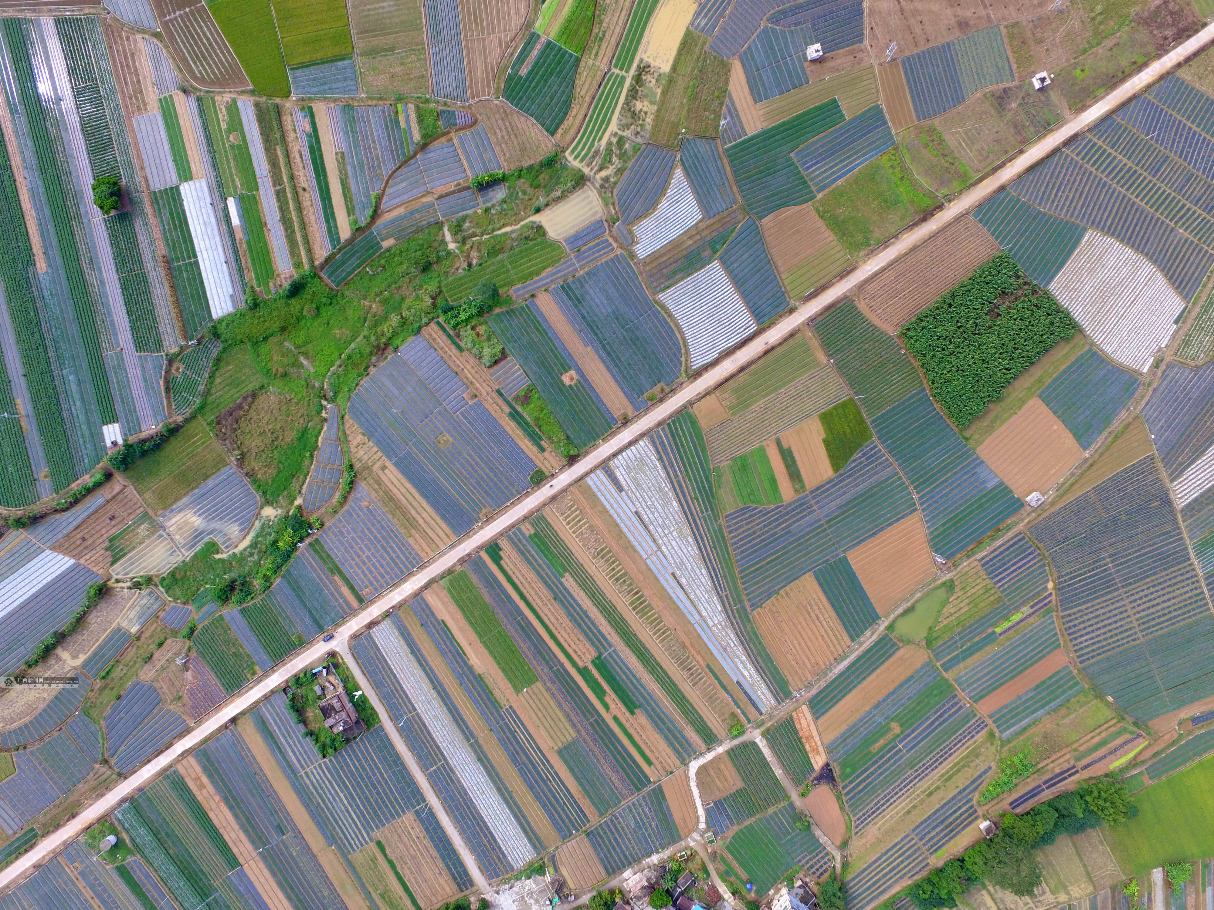 在这乡村的二层小楼下的田地已经枯黄,明年的春天有一番翠绿的景色.