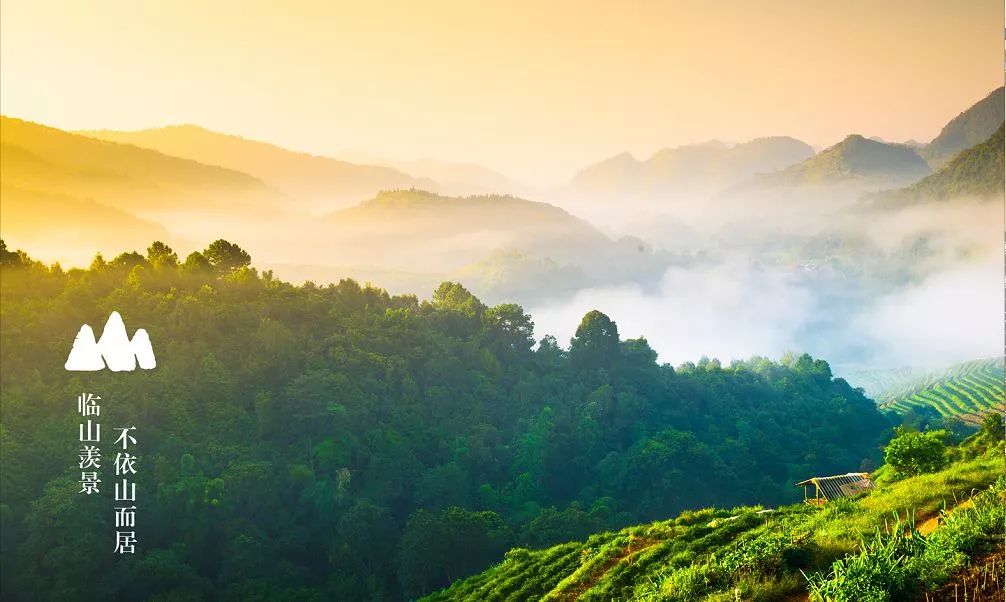 总有岁月可回首 愿为可能尽可能