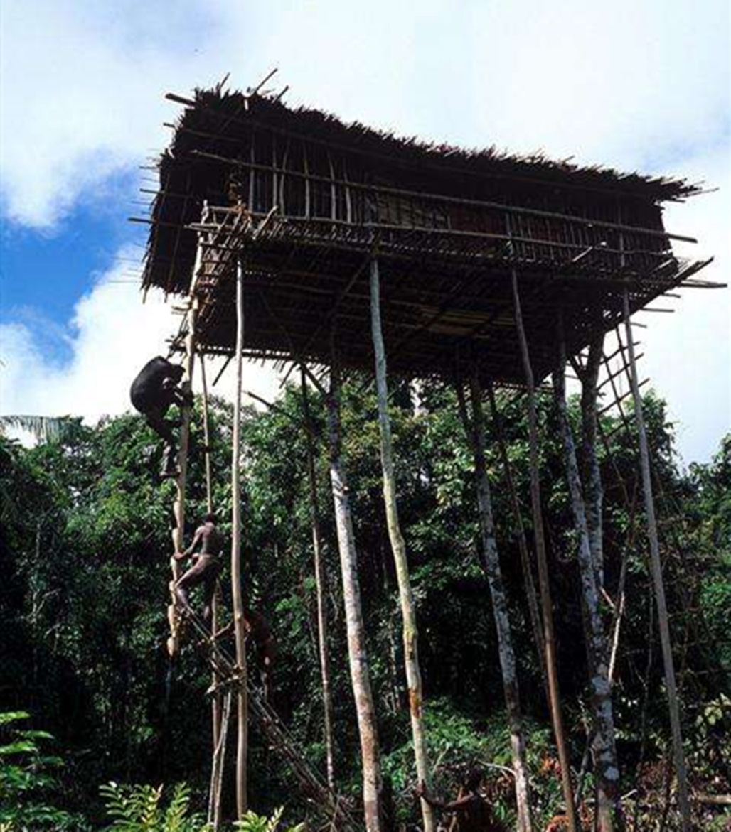 科罗威这部部族有着他们独有的语言,而且食物也不吃大米或者小麦.