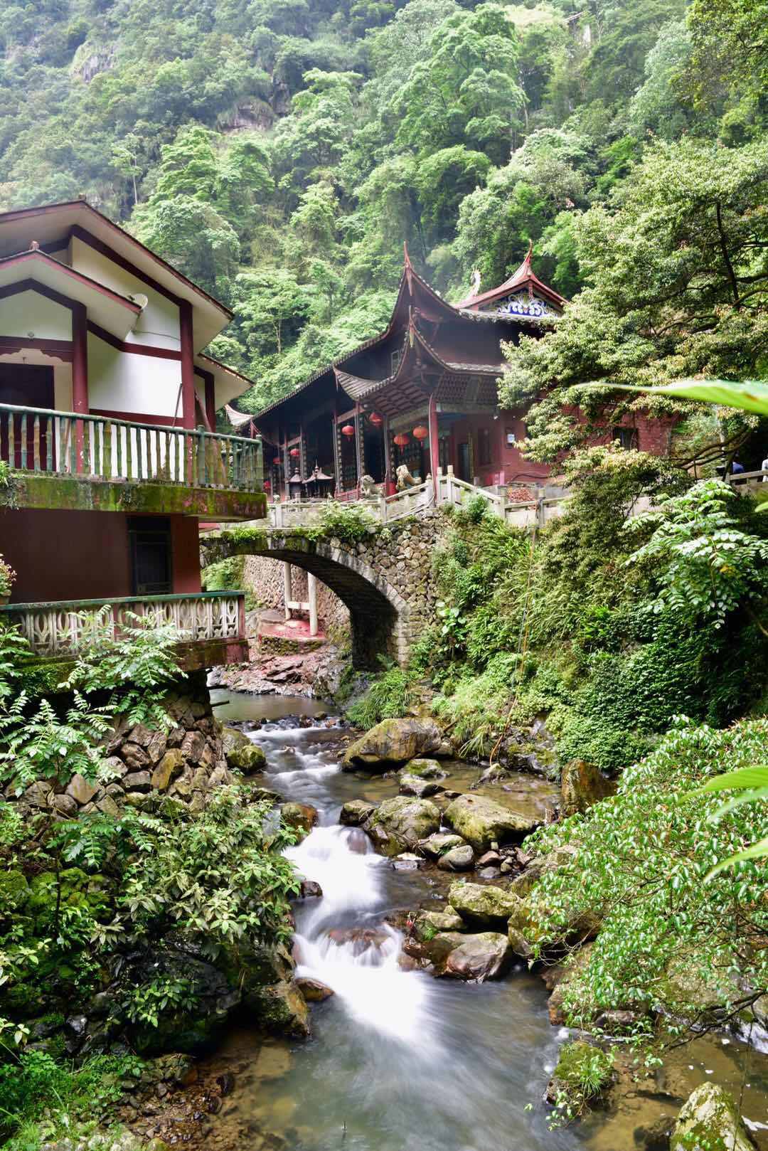 长在深闺无人识,四季常绿,溪水潺潺,福建南平溪源峡谷