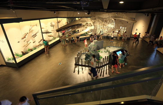 世界最奇特的博物馆,外型是一个人体,还禁止6岁以下小孩进去!