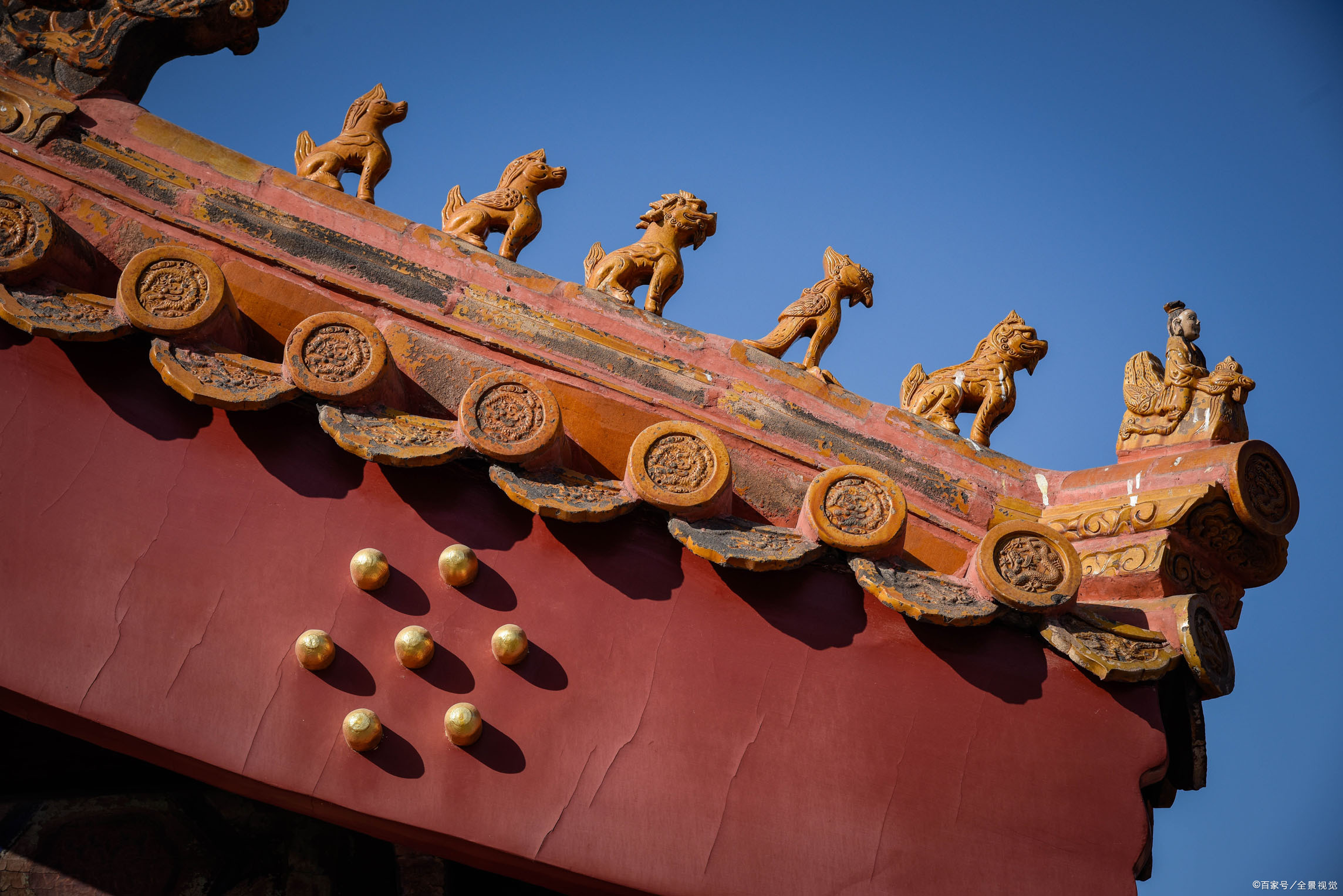 走兽- 热门商品专区