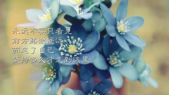 早安心语励志图片:生命靠运动,成功靠行动