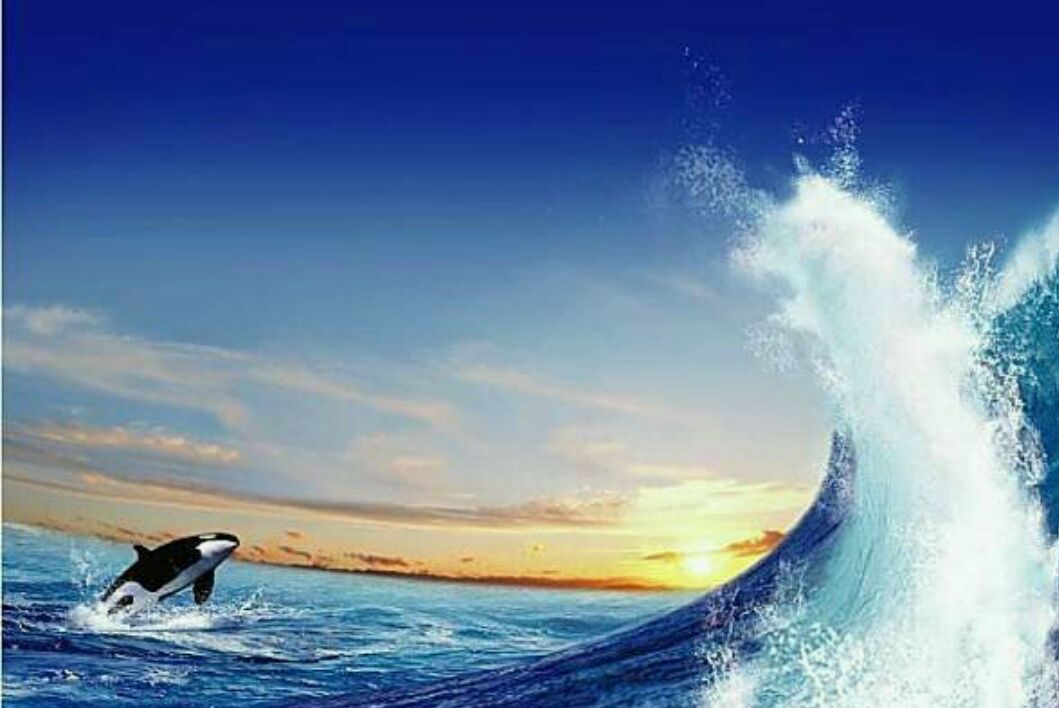 《站在时代的潮头鼓浪》——新时代弄潮儿在鼓浪.