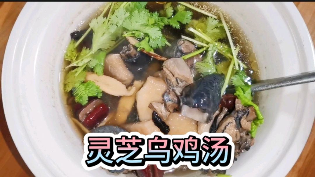 灵芝乌鸡汤,一道滋补炖汤,营养丰富