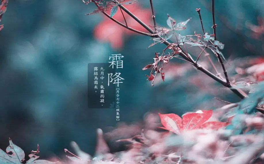 大热天的老是鸡皮疙瘩(大热天老是起鸡皮疙瘩是为什么) 大热天的老是鸡皮疙瘩(大热天老是起鸡皮疙瘩是为什么)