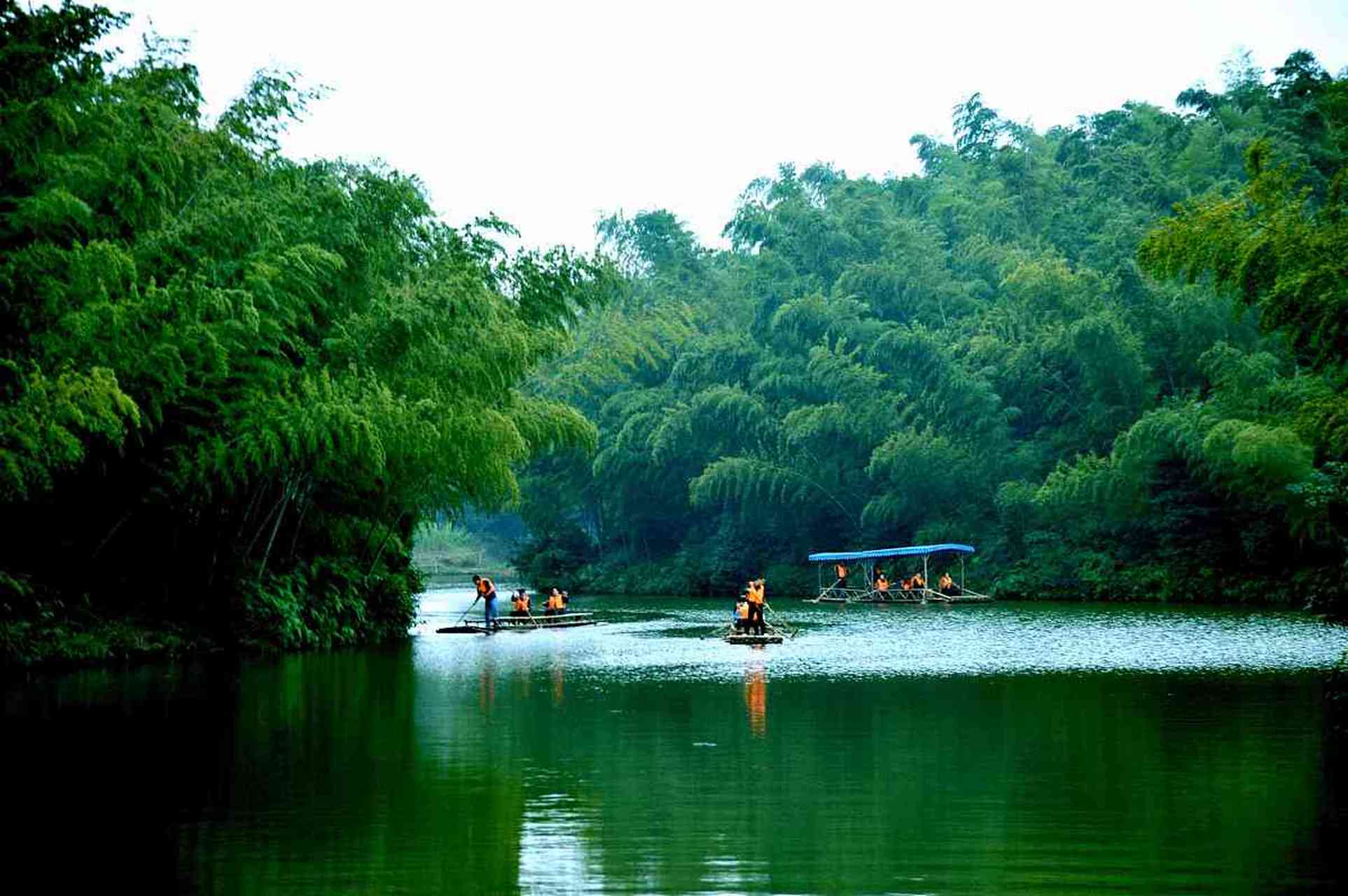 99 清晨的阳光透过竹林洒落,一阵微风轻拂,扑面而来的是淡淡的竹香.