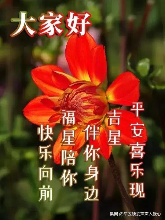 2019最新群发早晨问候祝福表情动态图片 春天早上好问候语动