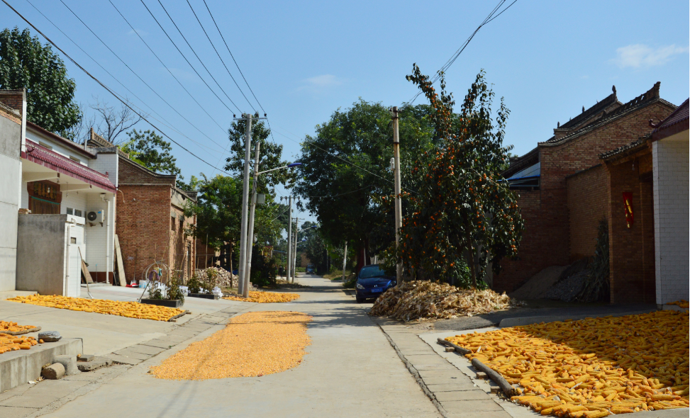 陕西咸阳农村秋收实拍,每一张都能唤醒乡愁,我们大都背离了土地