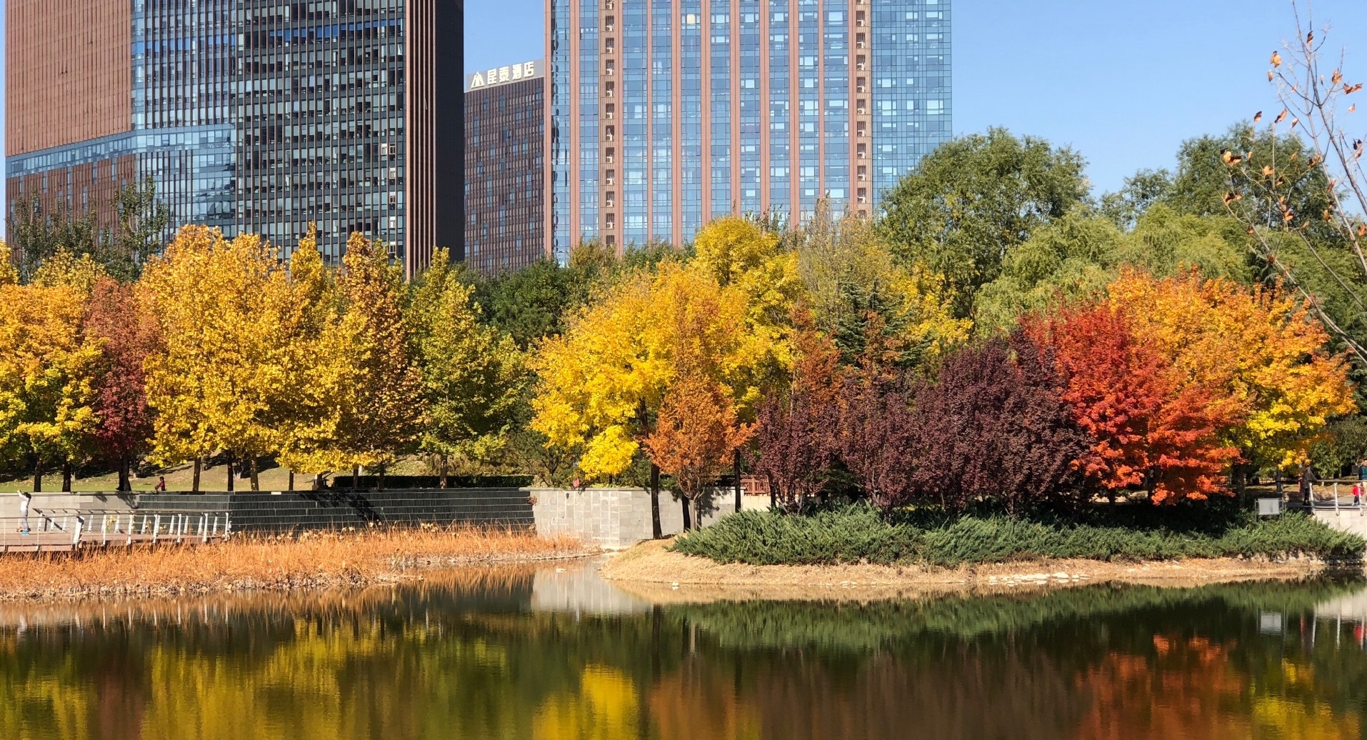 北京大望京中央公园正式开放:低调商务区彰显超一线城市的感觉