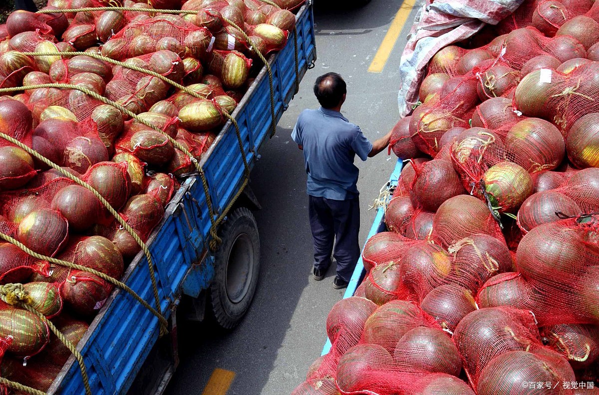 农村一些农产品滞销的本质是什么?农民总结有三点,切中要害了