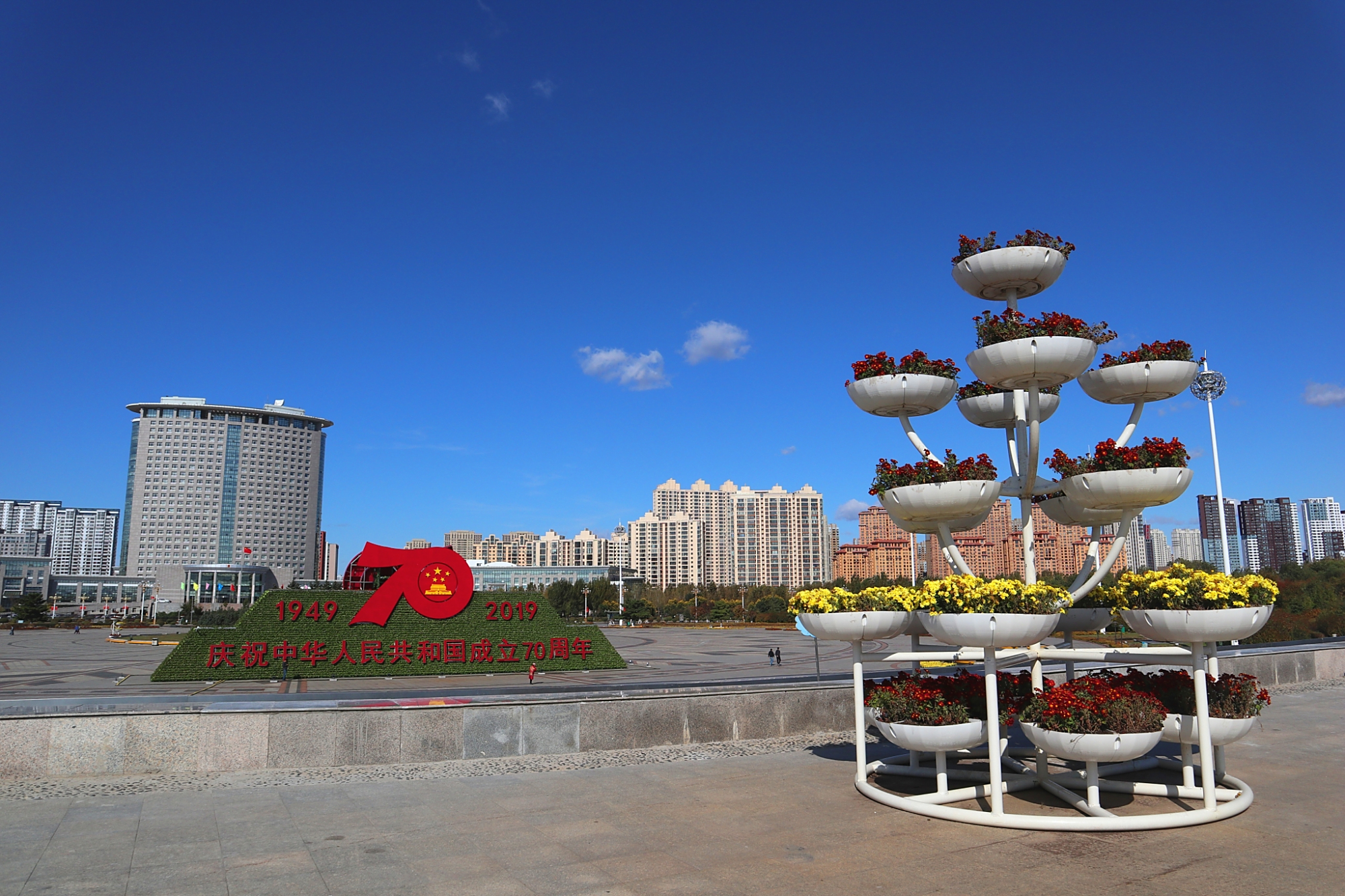 节后的哈尔滨市政府广场,喜庆依旧,还有和平鸽雕塑