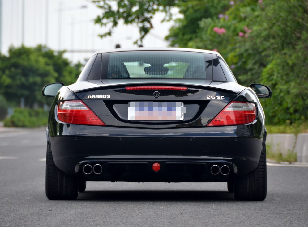 十分彰显个性的巴博斯 slk级外貌协会的可以了解一下