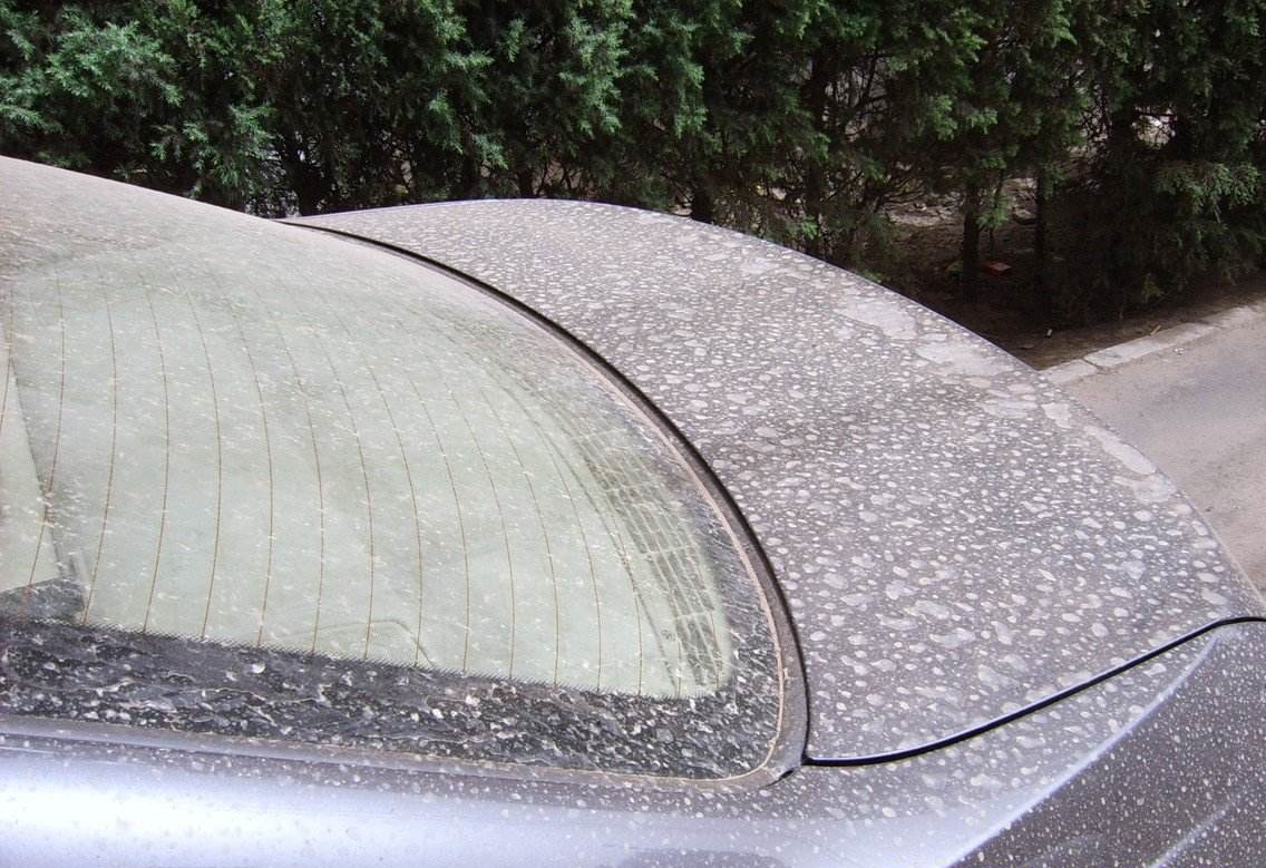 车漆- 热门商品专区