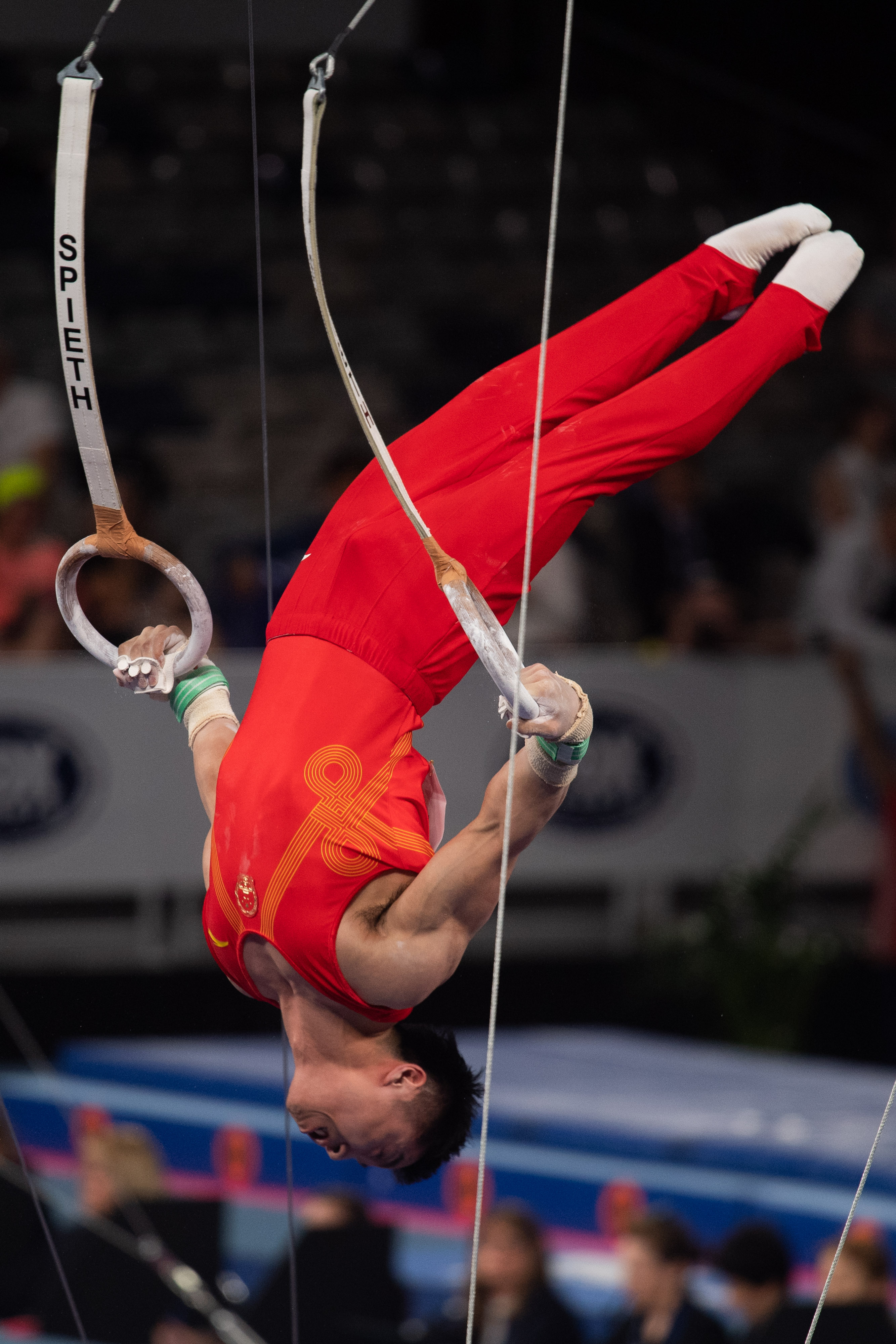 体操——世界杯墨尔本站:中国选手包揽吊环冠亚军