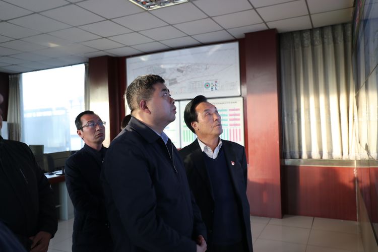 陕西省合阳县常务副县长王振华来陕西秦晋集团检查工作