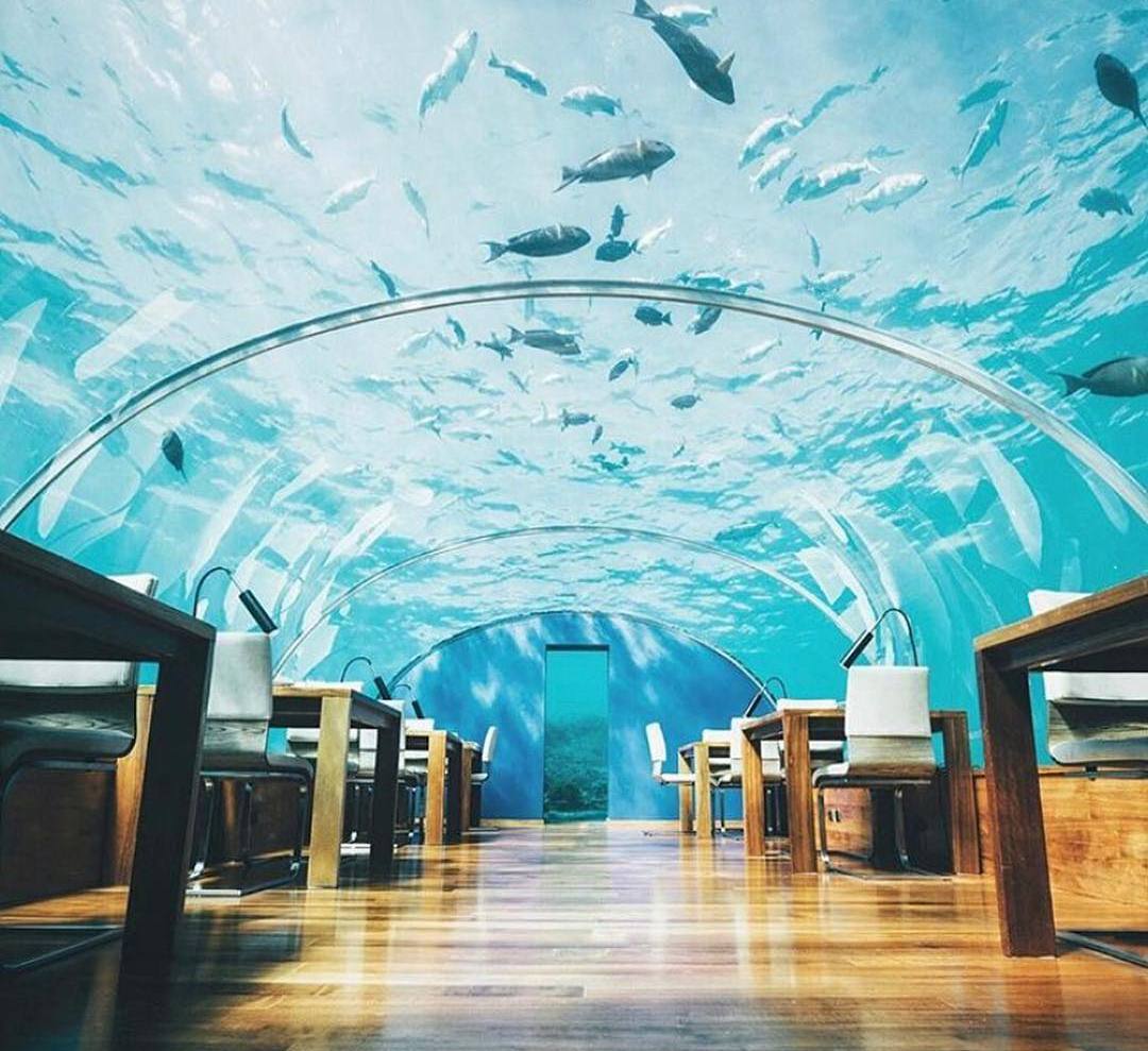 住在水底下鱼在天空游!三万一晚的马尔代夫酒店,蹲厕都能看鲨鱼