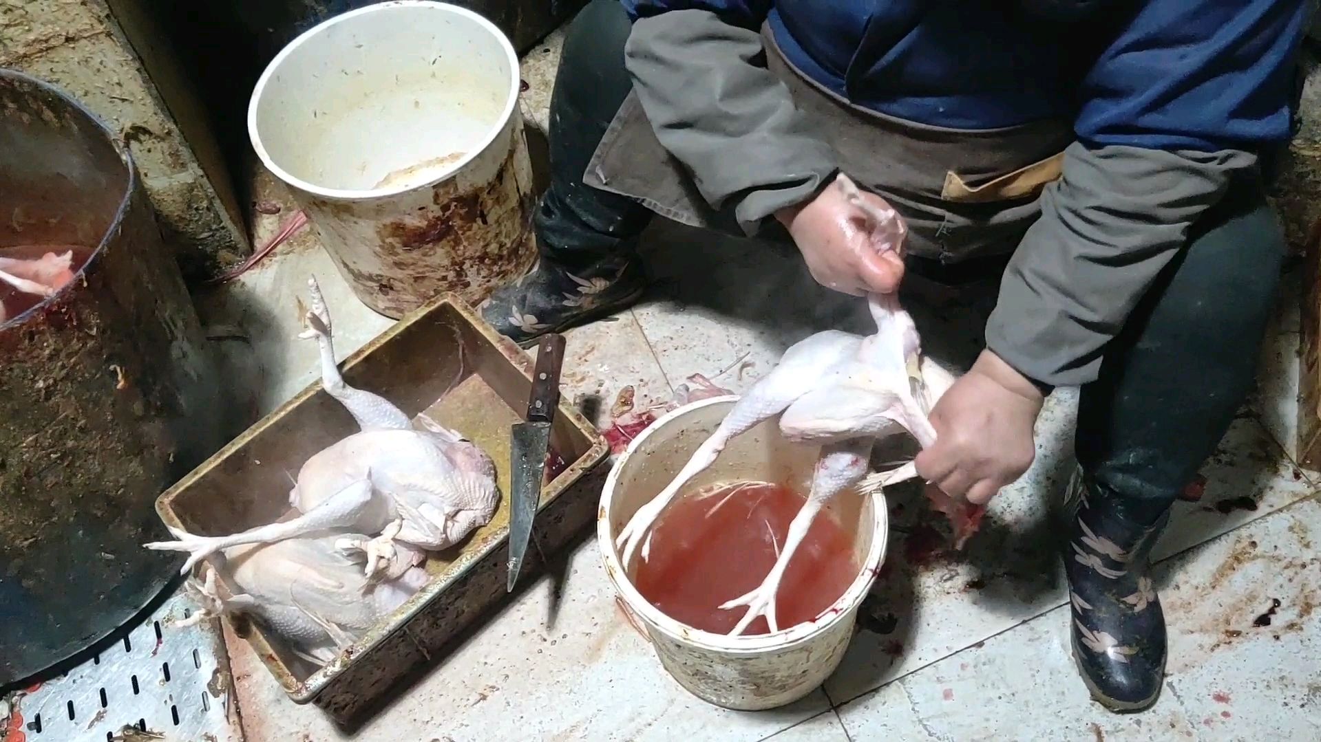 十堰老虎沟市场烧鸡公卖6元土鸡价格惊喜小伙没遇到过这么便宜的鸡