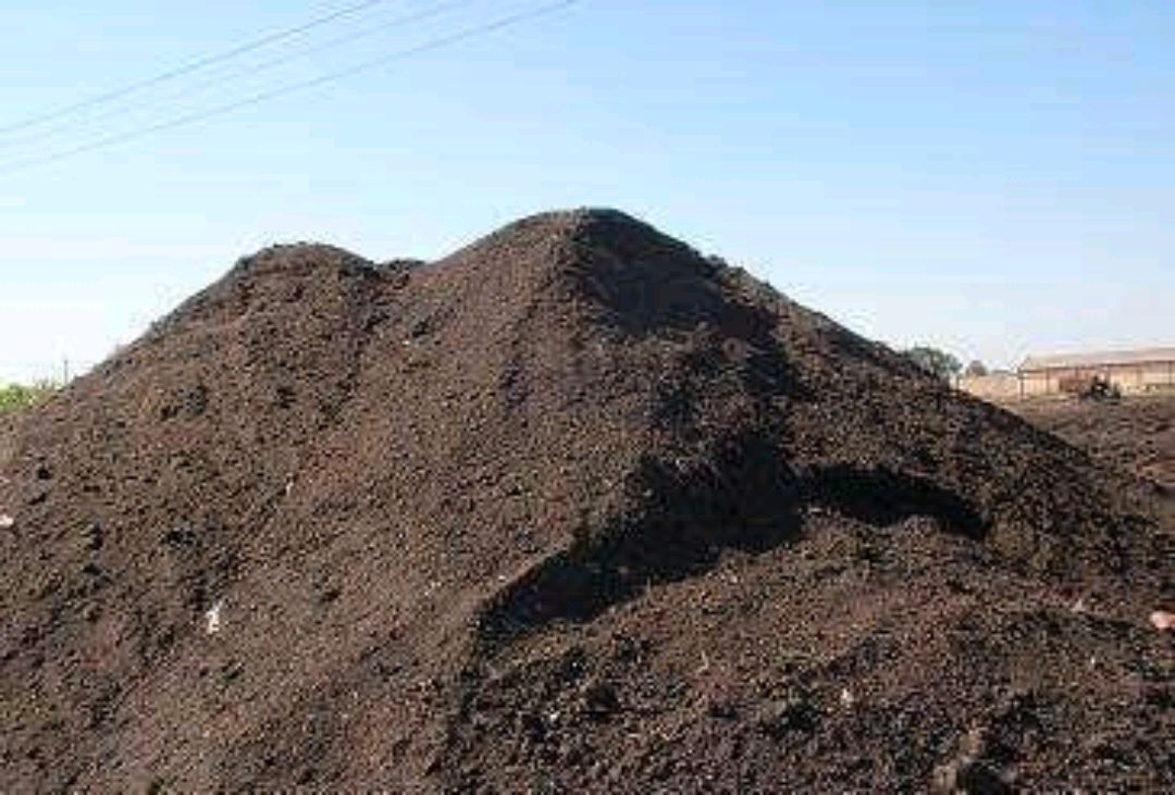 羊粪- 热门商品专区