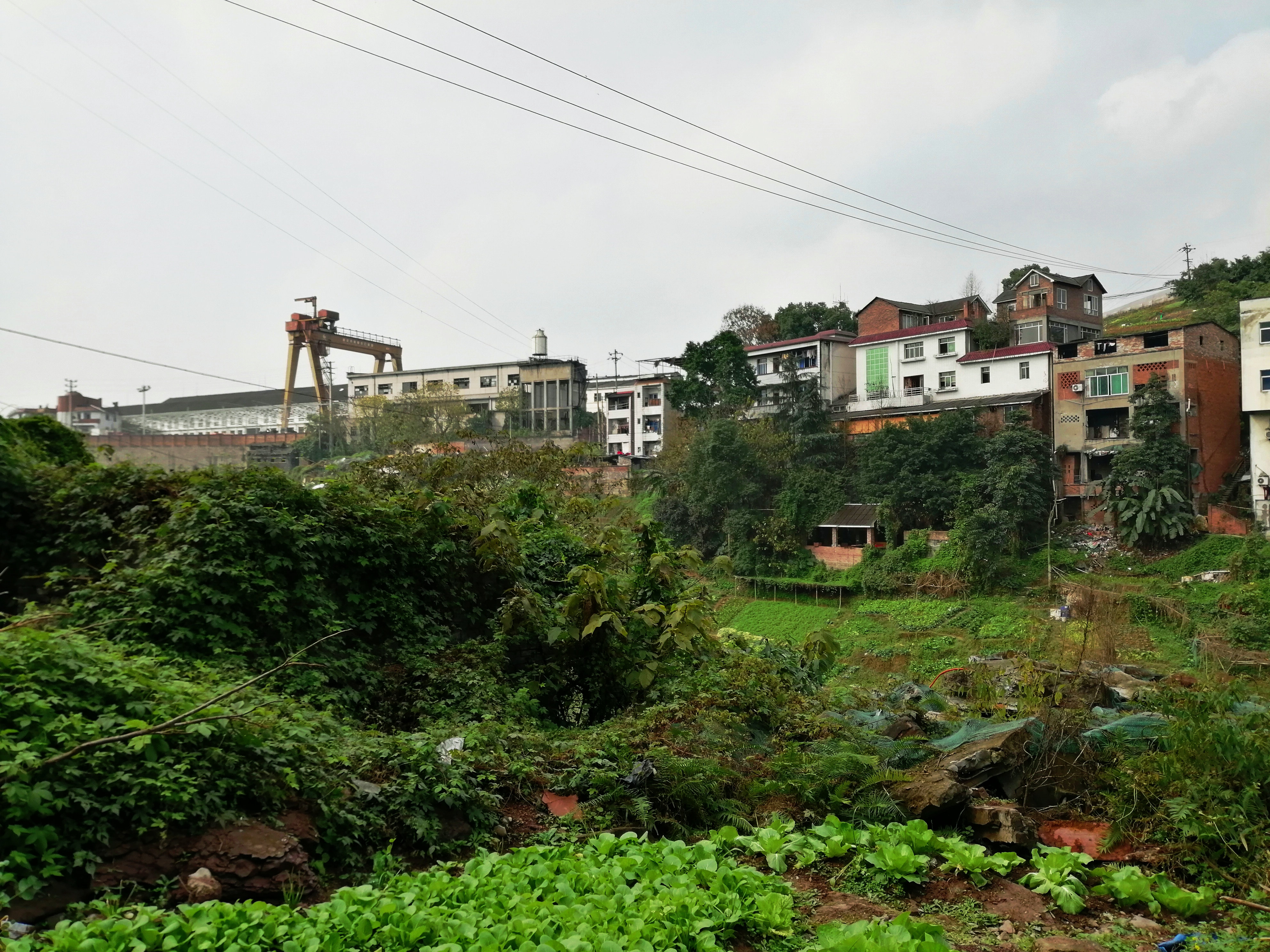 重庆著名小镇唐家沱,离市区很近,离游客很远