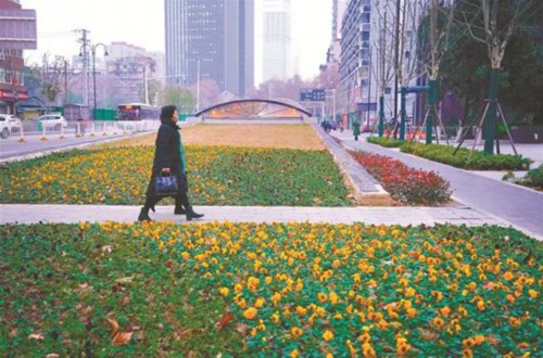 图文:武汉地铁匠心打造三阳路垂江绿廊