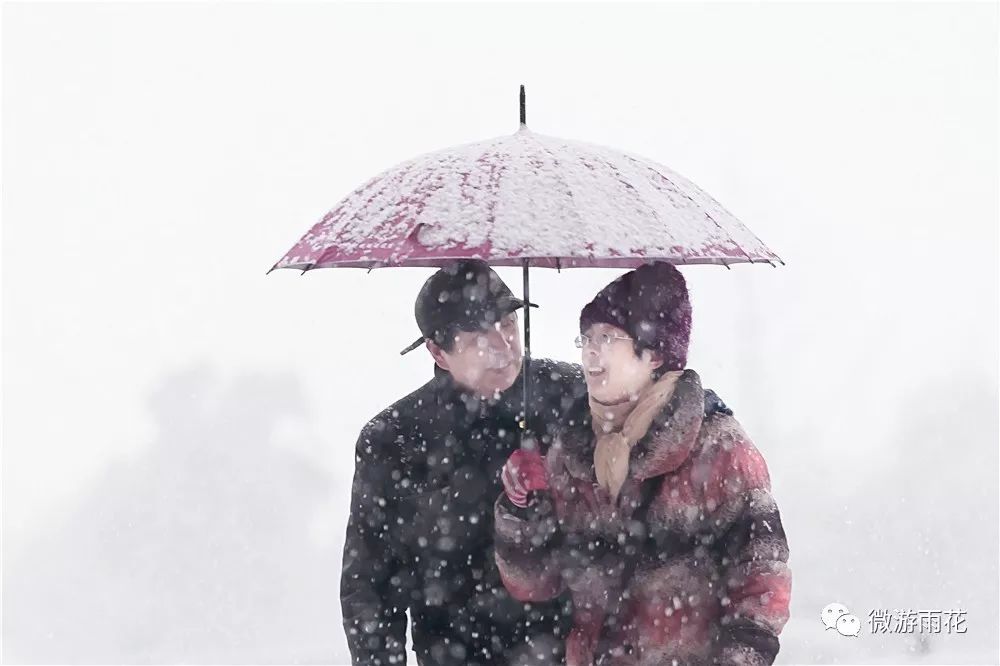 再看那些撑伞走在雪中的人儿 一步一个脚印